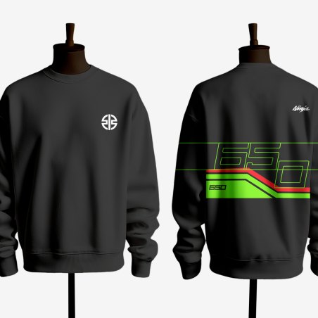 Sudadera de moto personalizada Kawasaki 650