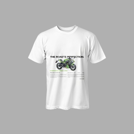 Camiseta "Ninja 650 Perfection"