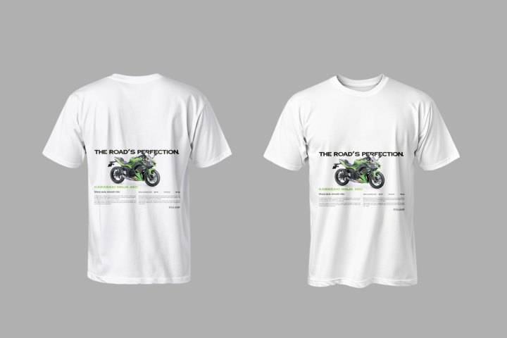 Camiseta "Ninja 650 Perfection"